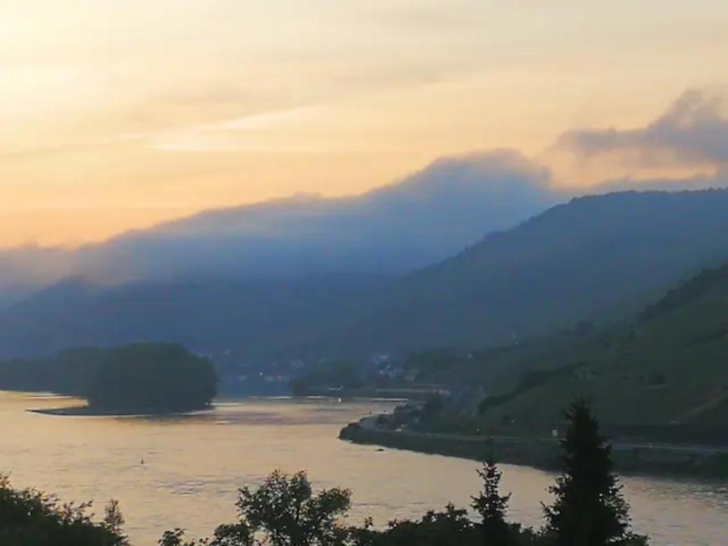 Wunderschoene Aussicht Garantiert Trechtingshausen Ngoại thất bức ảnh