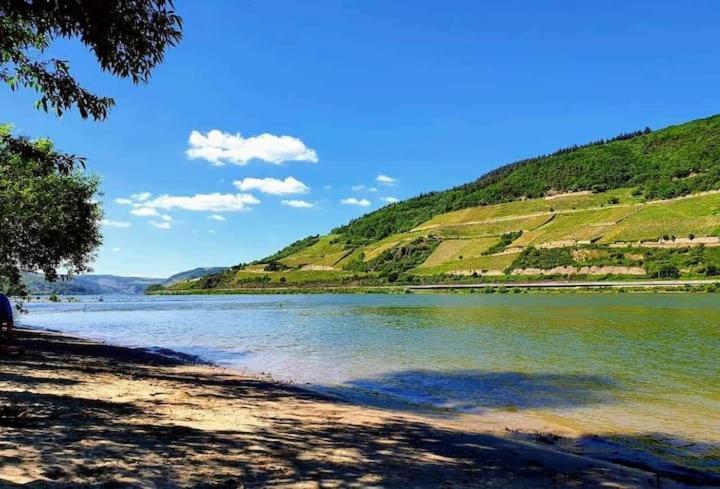 Wunderschoene Aussicht Garantiert Trechtingshausen Ngoại thất bức ảnh