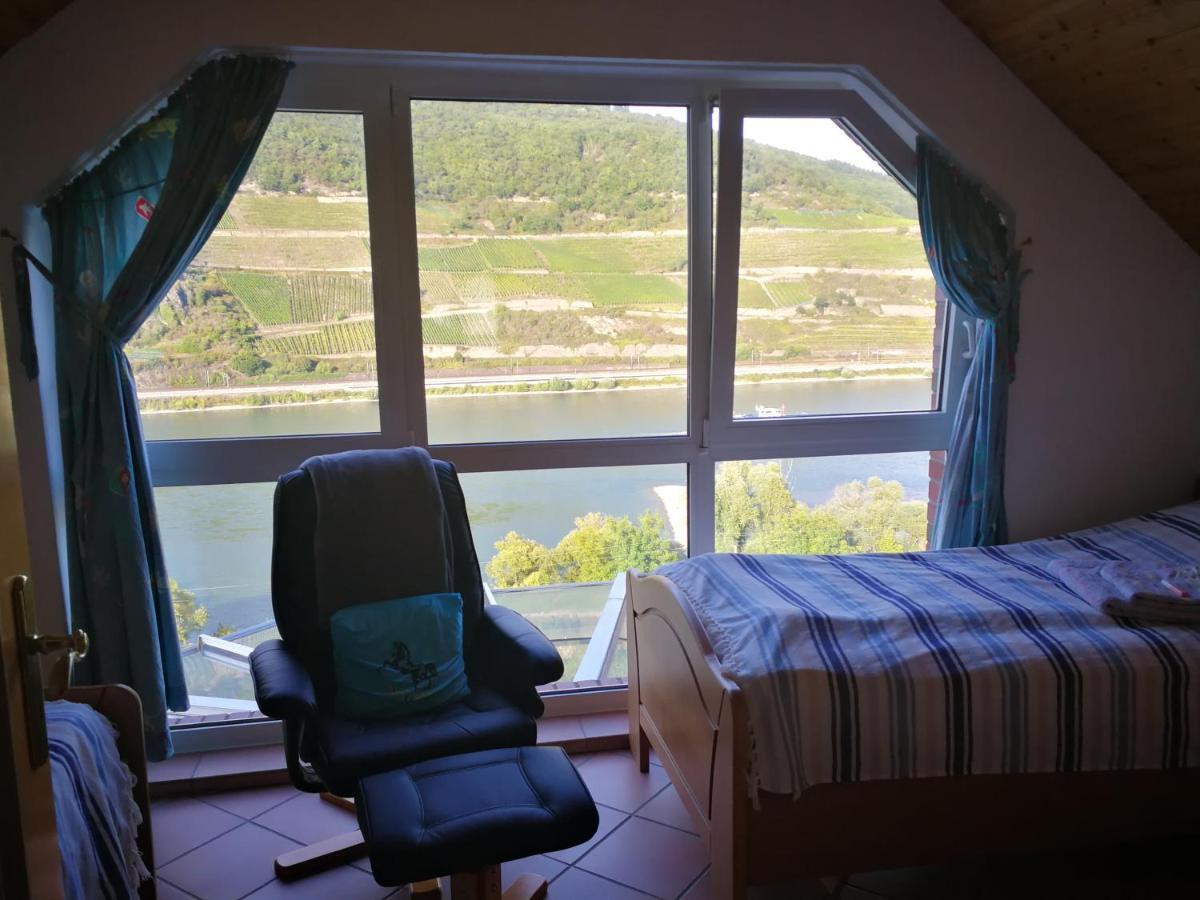 Wunderschoene Aussicht Garantiert Trechtingshausen Ngoại thất bức ảnh